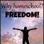 Freedom Loving Homeschoolers